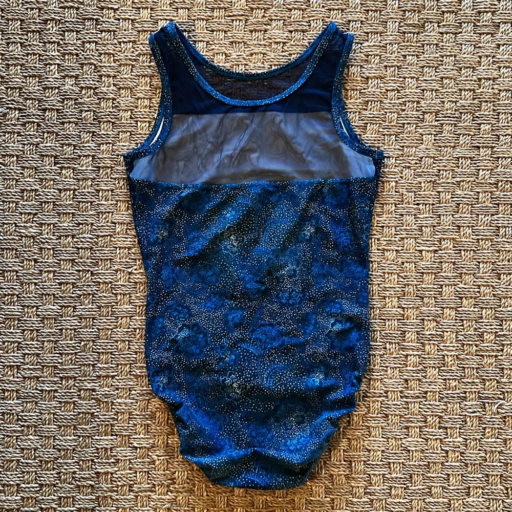 Plum Practicewear Mesh Leotard View 2